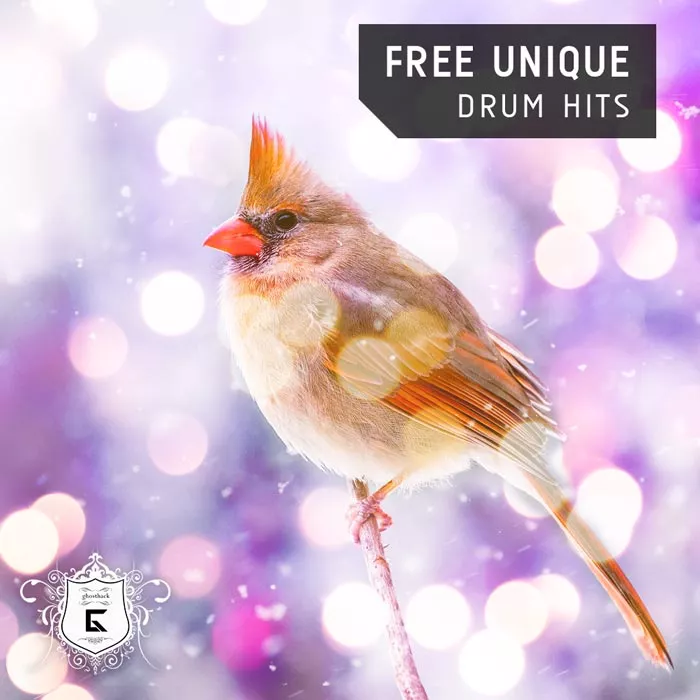 day-20-unique-drums