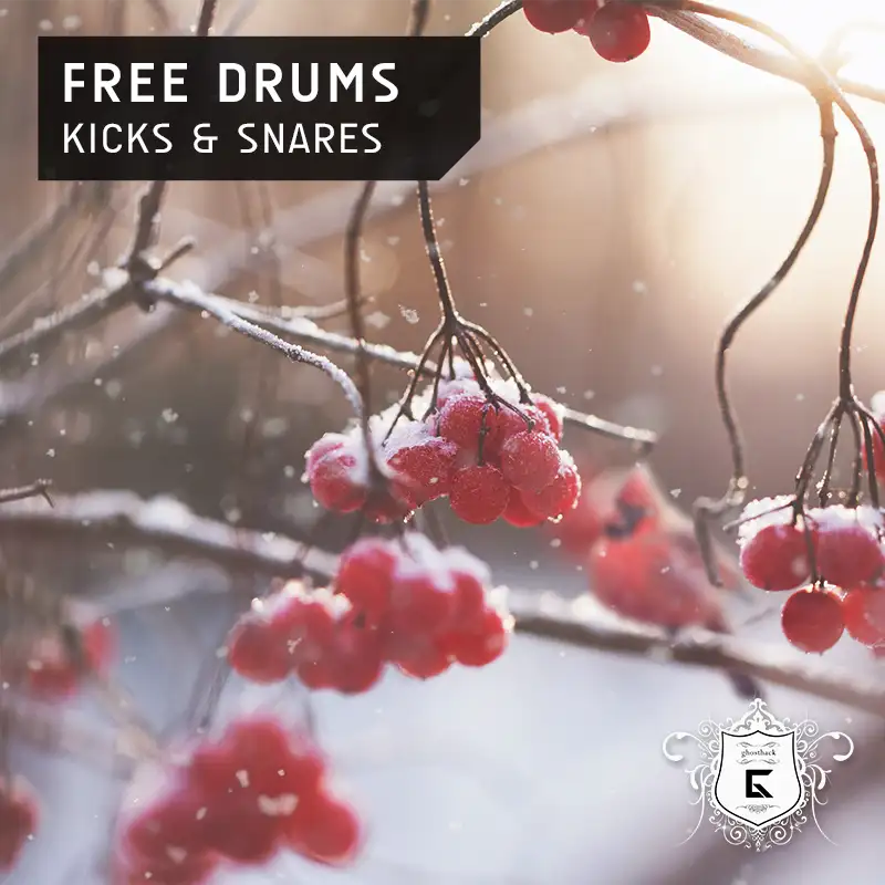 Advent Calendar 2022 Day 8 - Kicks & Snares